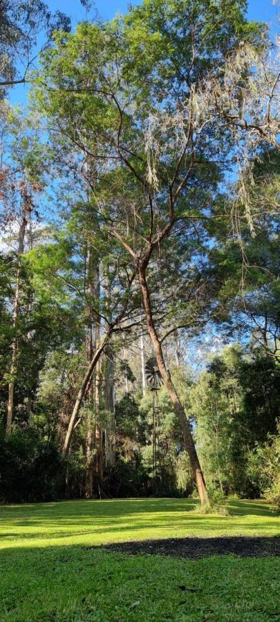Bird Songs Getaway Accommodation Cabbage Tree Creek المظهر الخارجي الصورة