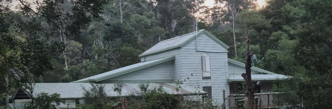 Bird Songs Getaway Accommodation Cabbage Tree Creek المظهر الخارجي الصورة